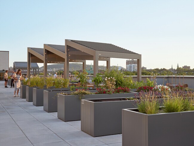 Building Photo - Mellem Ville-Marie