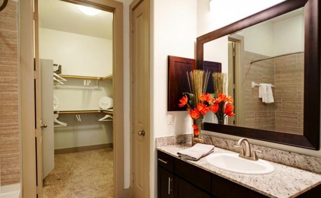 Foto del edificio - 1 bedroom in The Woodlands TX 77380