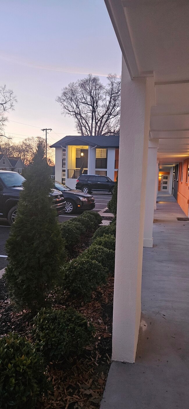 Building Photo - Plaza Midwood Apartments