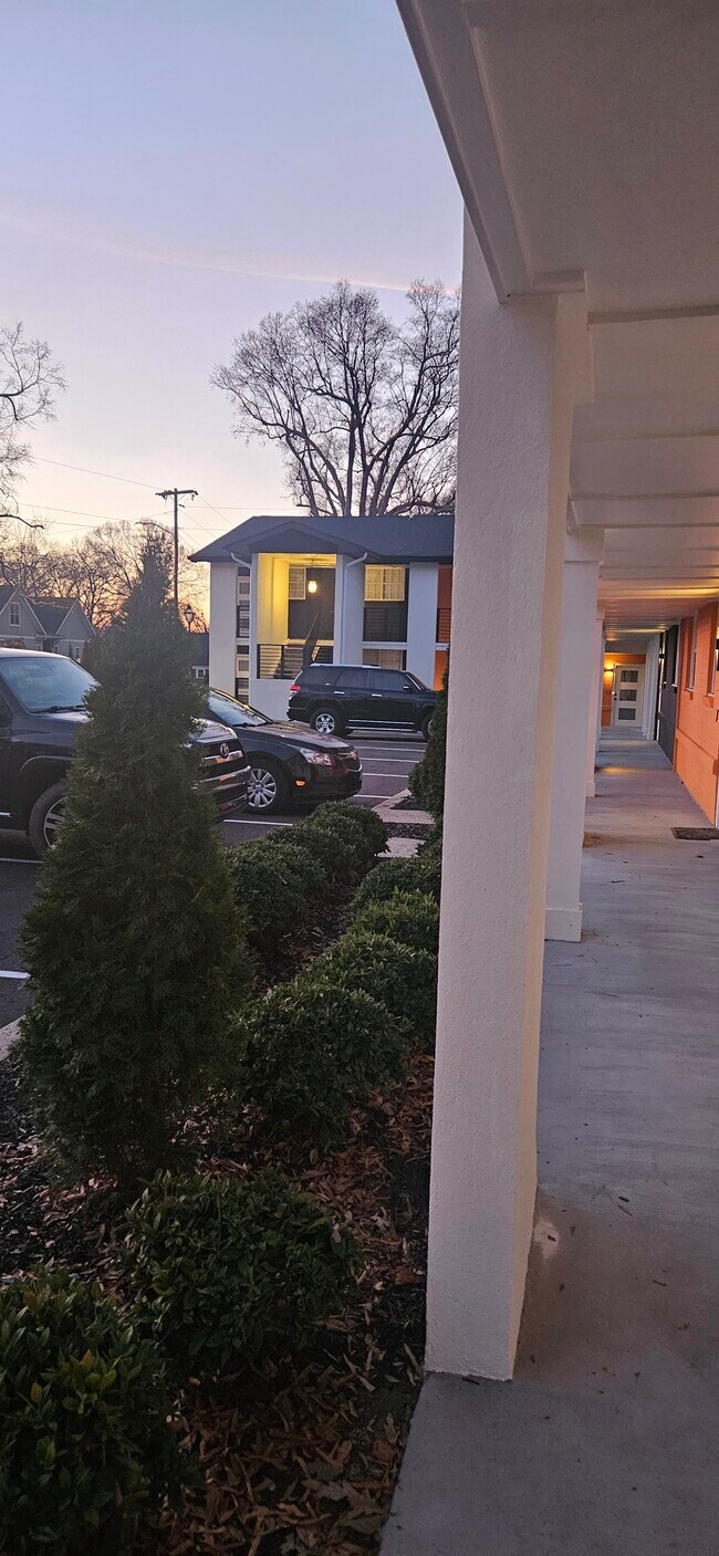 Foto del edificio - Plaza Midwood Apartments