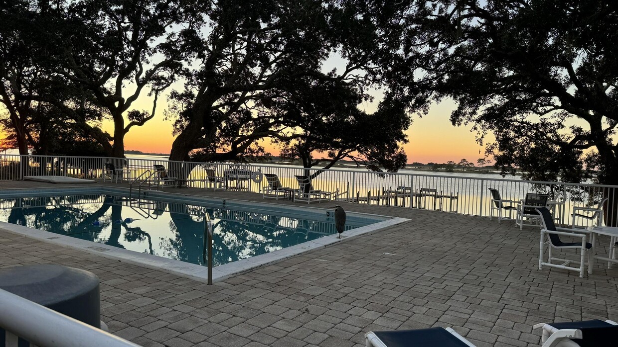 Primary Photo - 209 W Miracle Strip Pkwy