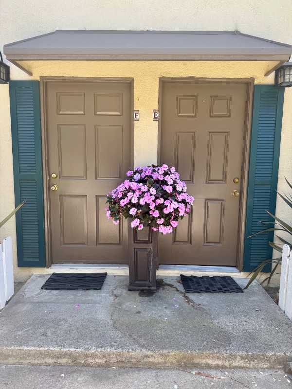 Building Photo - 1978 Maple Ave