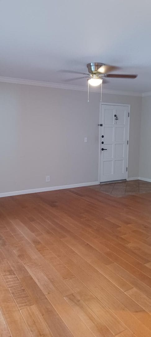Building Photo - 2777 Mauricia Ave