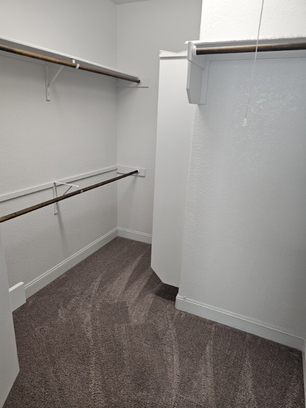 Foto del edificio - 9511 Bricewood Oak