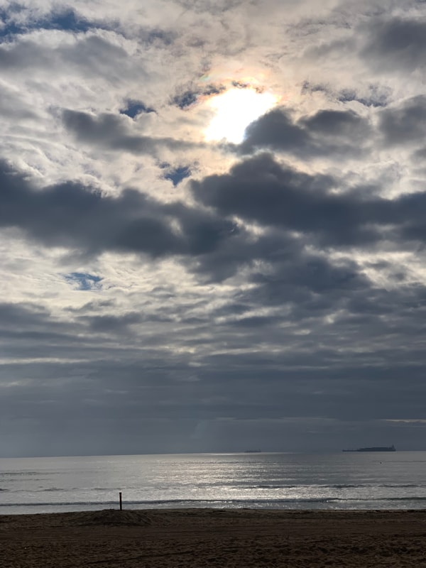 113 PetFriendly Houses for Rent in Orange County, CA Westside Rentals