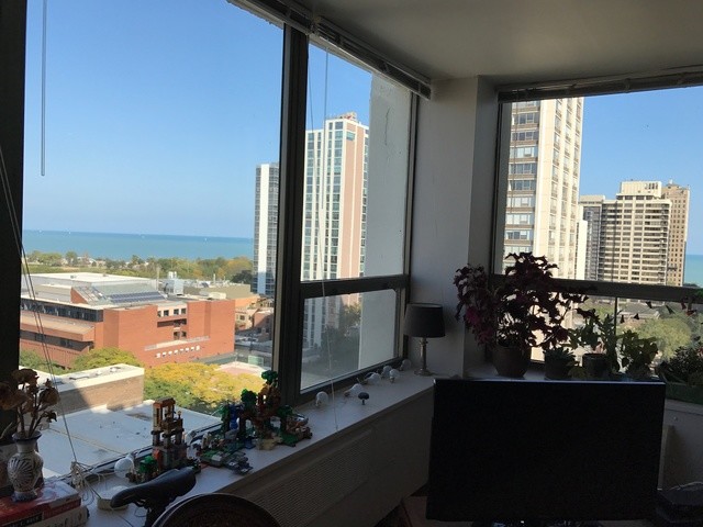 1460 N Sandburg Terrace, Chicago, IL 60610 - Condo for  