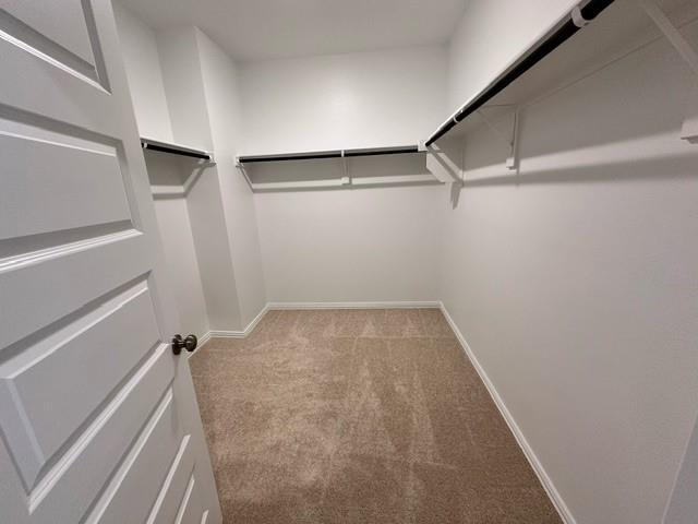 Building Photo - 509 Brk Vw Dr