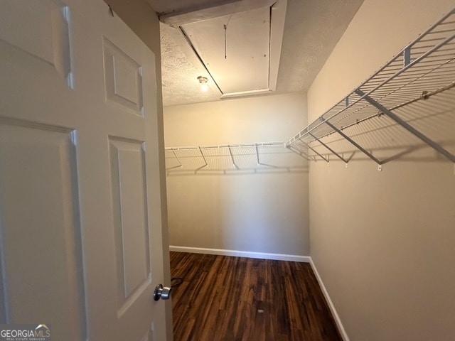 Foto del edificio - 3810 Kensingwood Trace