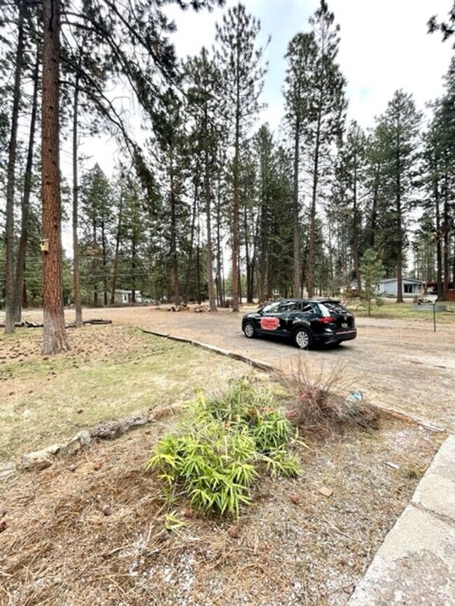 Foto del edificio - Beautiful 3 Bedroom Single Level home on a...