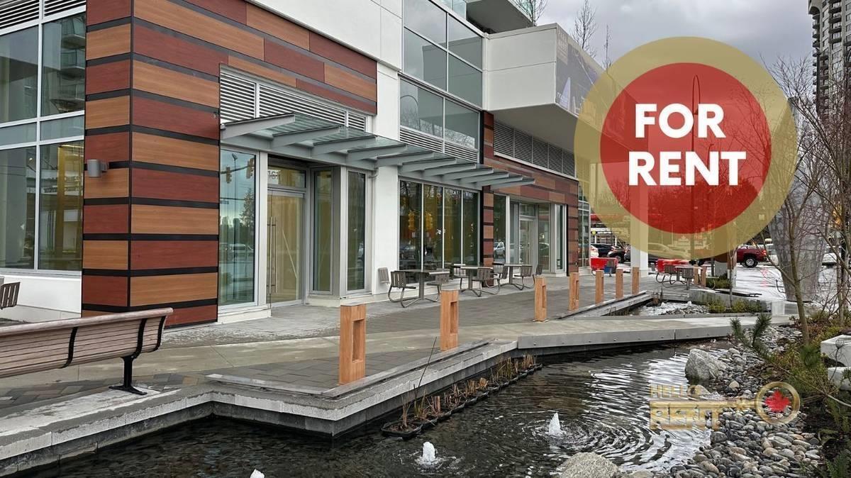 16321632 Lions Gate Ln, North Vancouver, BC V7P 0E2 House for Rent