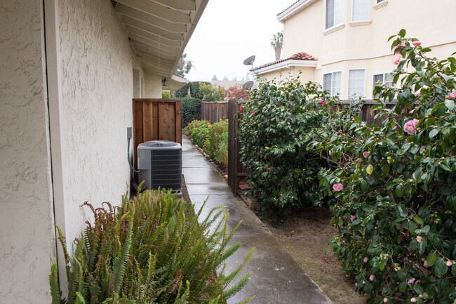 central air in back yard - 20865 Alves Dr