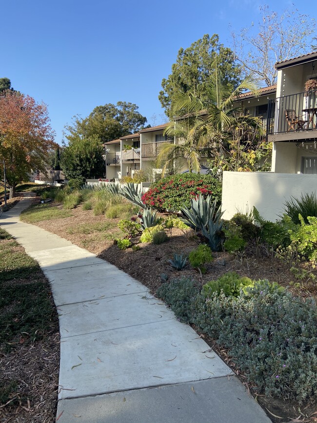 view of patios. We have complete privacy - 1046 Miramonte Dr