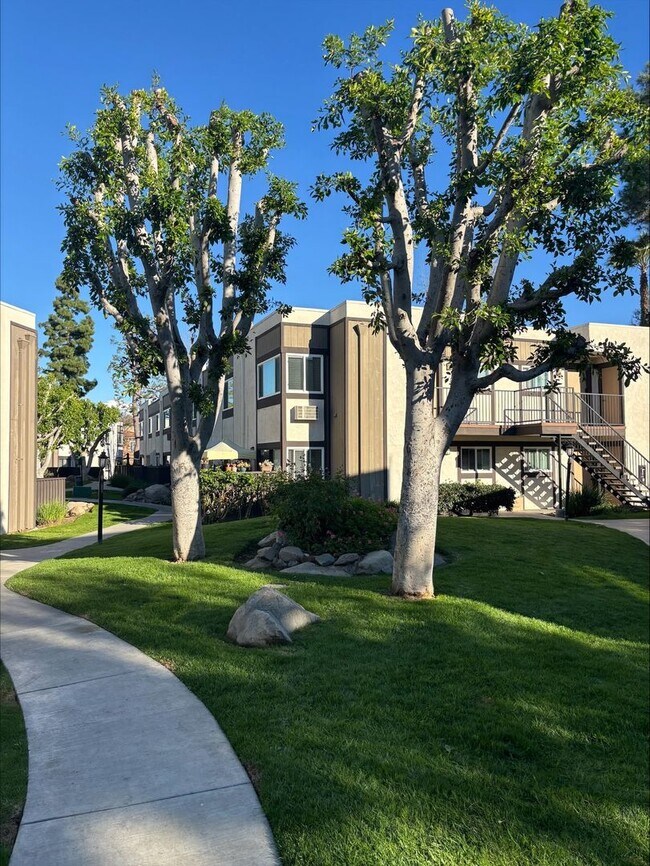 Foto del interior - 104 Brookstone Apartments