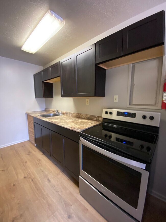 Building Photo - Large Studio Apartments RIGHT DOWNTOWN! (O...