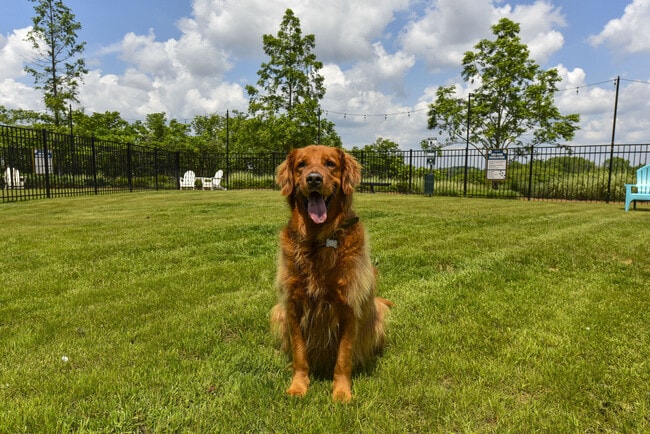 Building Photo - The Mill at Westside
