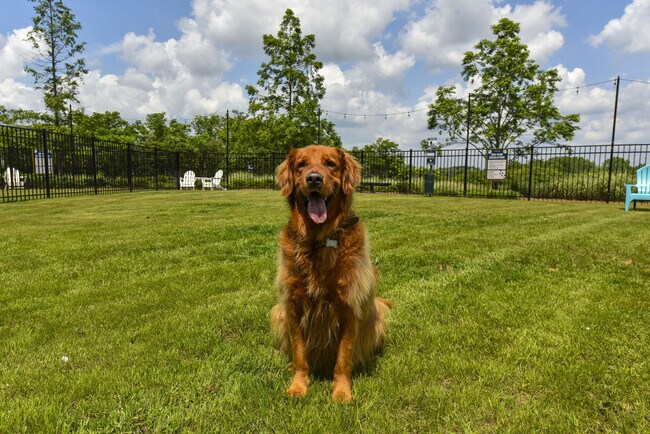 Foto del edificio - The Mill at Westside