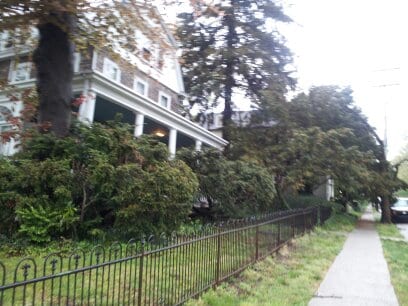 Photo - 15 E Mermaid Ln Apartment