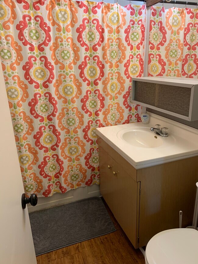 Bathroom - 1101 S Duncan St