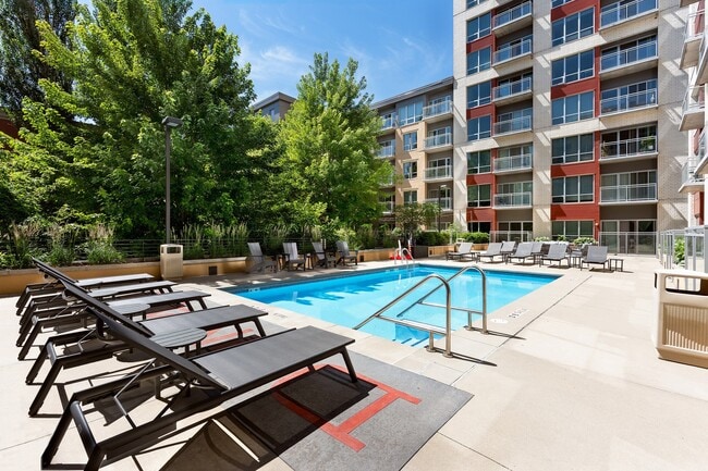Domain Resort Style Pool - Domain
