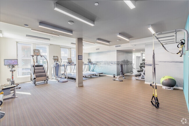 Fitness - AV8 Little Italy