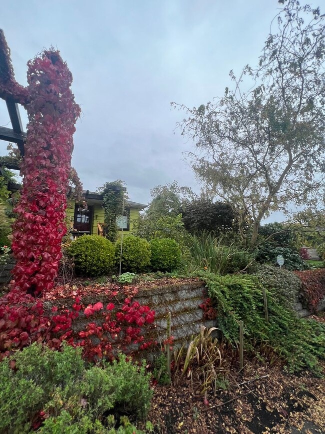 Building Photo - Cozy 2 Bedroom in Charming Everett Neighbo...
