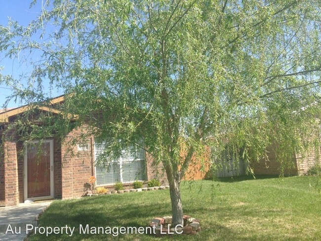 Building Photo - 4 br, 2 bath House - 1104 Shasta Dr.
