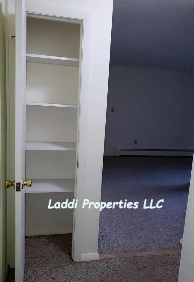 Plentiful Storage closets - 86 Beacon St, Unit 4