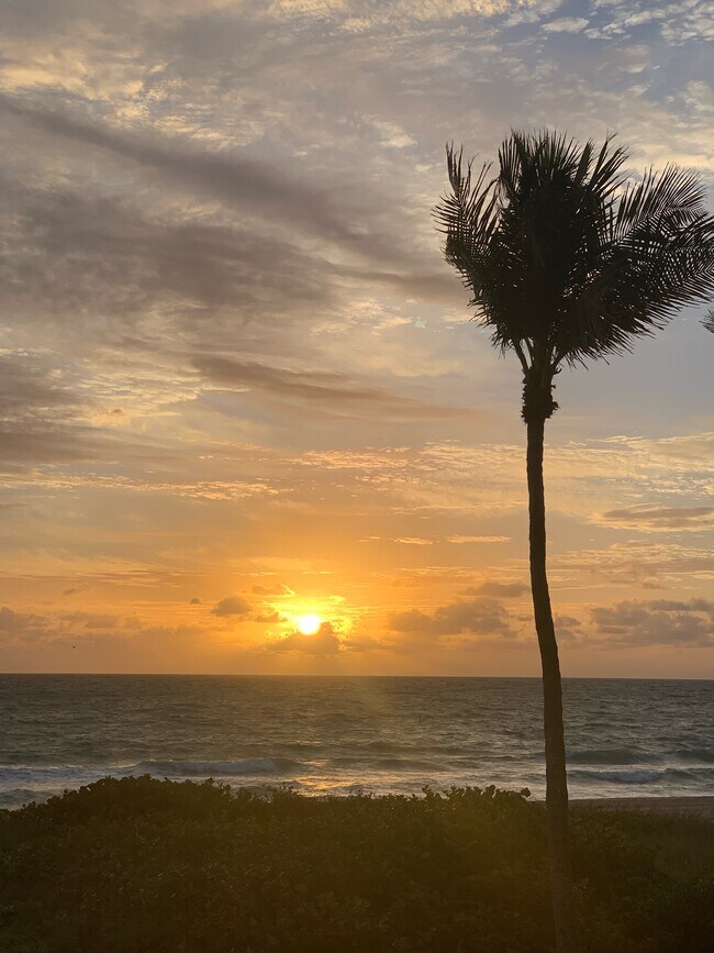 Foto del edificio - 6000 N Ocean Blvd