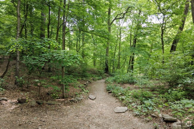 Take a walk along one of the many trails within Morris Park in Overbrook.