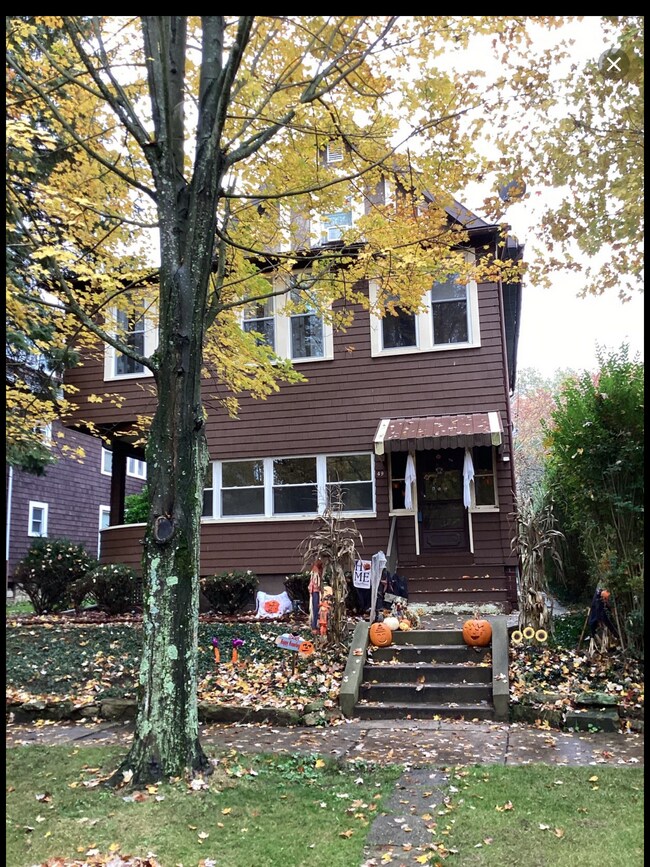 Building Photo - 49 Venango St