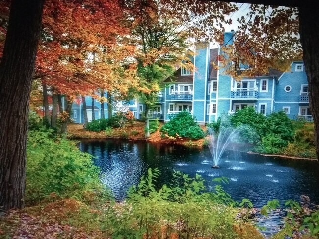 Foto del edificio - 1623 Old Pond Ln