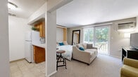 This single-floor unit offers a thoughtfully designed open-concept layout that maximizes functionality and comfort. The main living area is carpeted throughout and centers around a versatile space that seamlessly integrates living, sleeping, and dining functions. A built-in Murphy bed folds neatly into the wall, freeing up floor space and adding to the room's flexible, efficient design. Large sliding glass doors flood the space with natural light and provide direct access to a covered private balcony, which overlooks a lush, green courtyard dotted with mature trees — an ideal spot for outdoor relaxation.

The compact kitchen is efficiently arranged with warm wood-toned cabinetry, white appliances including a microwave and stovetop, and ample counter space. It is partially separated from the living area by a structural column, creating a sense of definition without sacrificing openness.

The bathroom is clean and functional, featuring light beige tile flooring, a bathtub with a curved shower rod and window for natural light, and crisp white walls that contribute to a bright, airy feel. A hallway connects the bathroom to the main living space, offering additional wall-mounted storage options. Overall, the unit presents a practical and comfortable living environment with appealing outdoor connectivity.