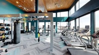 This single-floor fitness center offers a well-appointed workout environment defined by striking architectural details and an abundance of natural light. The space features soaring ceilings clad in warm wood paneling, creating a rich contrast against the bold teal accent walls that frame the room. Ceiling fans are mounted overhead, contributing to air circulation throughout the facility.

Floor-to-ceiling windows line the perimeter, flooding the interior with natural light and offering open views of the surrounding cityscape, enhancing the sense of spaciousness. The flooring consists of patterned, low-pile carpet tiles in neutral tones, providing a durable and functional surface suited for high-traffic use.

The fitness floor is equipped with a comprehensive selection of cardio machines, including a row of treadmills and stair climbers positioned along the window-facing wall to take advantage of the exterior views. A centrally located functional training rig supports suspension trainers and other accessories, catering to bodyweight and functional fitness workouts. Additional equipment and stability tools are visible throughout the space, offering a well-rounded training environment.