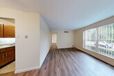Located at 10874 Pear Blossom Ct in Saint Ann, MO, this one-bedroom, one-bathroom unit offers a well-organized, single-floor layout designed for comfortable everyday living. The living room is the heart of the space, featuring rich hardwood-style laminate flooring, neutral cream-toned walls, and large windows fitted with vertical blinds that invite generous natural light and views of the surrounding greenery. A ceiling fan adds both style and function to the area. The front entry opens directly into this bright, open living space, creating a welcoming first impression. The kitchen is efficiently laid out with warm wood cabinetry, light countertops, a double-basin sink, and black appliances including a range and refrigerator. Tile flooring grounds the kitchen area and provides a practical contrast to the laminate found throughout the rest of the unit. The bedroom is a comfortable, well-proportioned retreat with the same hardwood-style flooring, neutral walls, and a large window overlooking outdoor greenery, offering a peaceful atmosphere. A dedicated closet provides convenient storage. The bathroom is clean and straightforward, featuring a tub-shower combination with tiled surround, a toilet, and a vanity with storage.
