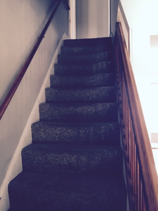 Foto del edificio - 313 Stanage Ave