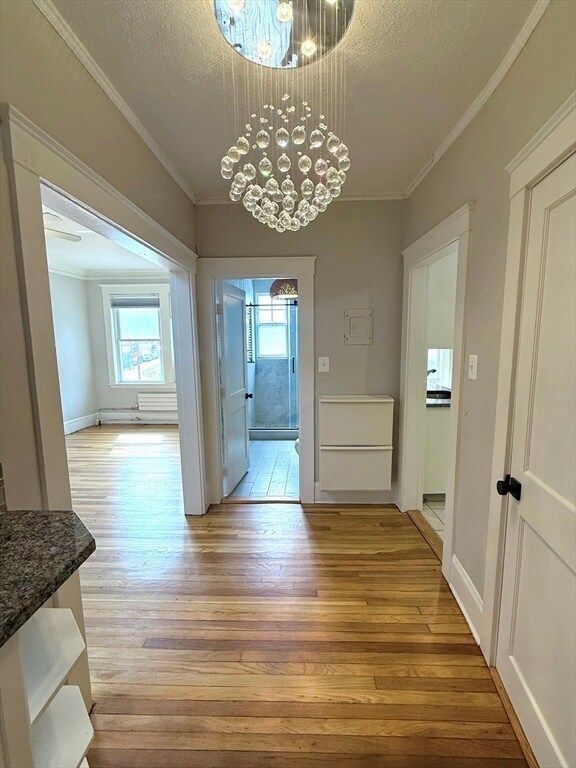 Building Photo - 20-2 Chiswick Rd