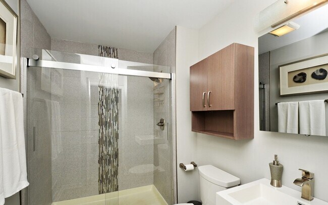 Guest bathroom - 2524 W Bloomingdale Ave