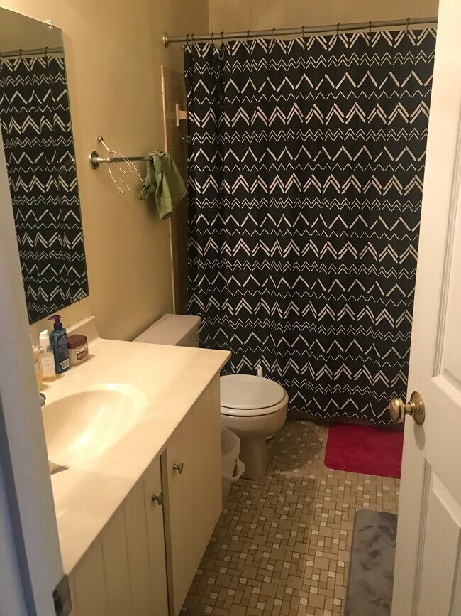 Shared bathroom - 9606 Scotch Haven Dr