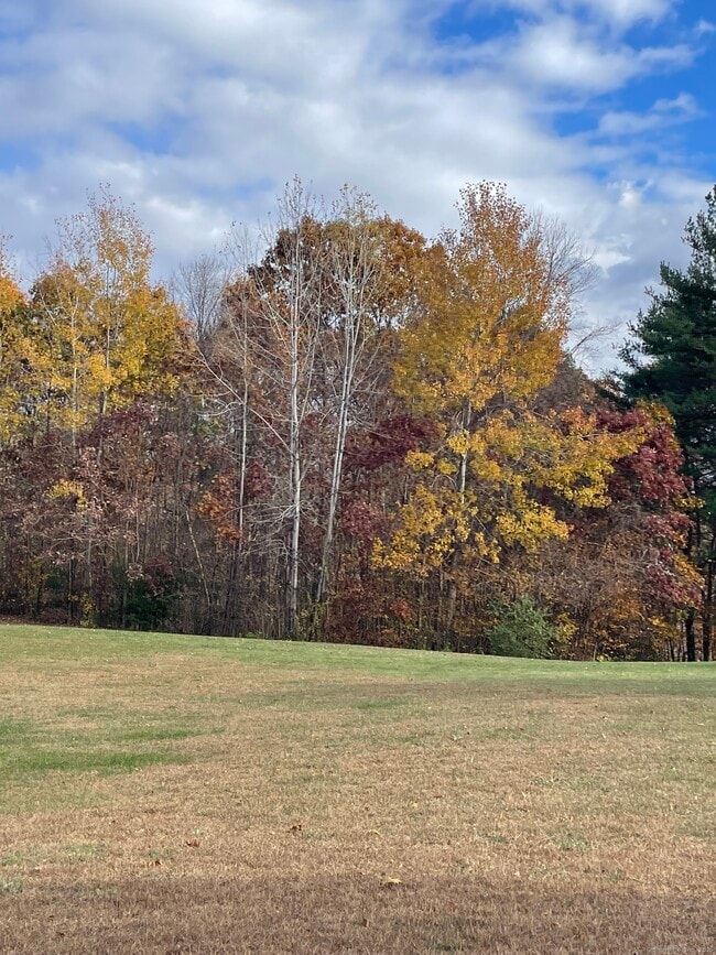 Foto del edificio - 86 Buff Cap Rd