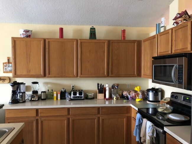 Foto del edificio - 2358 Lily Pad Ln