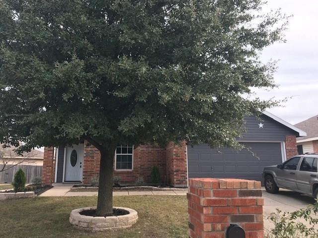 Building Photo - 1117 Mustang Ridge Dr