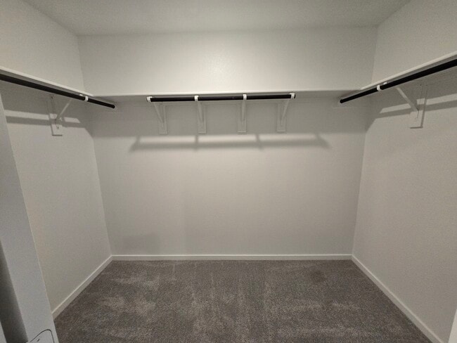 Building Photo - 3112 Burmese St