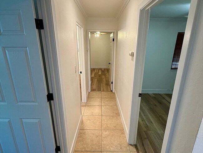 Foto del edificio - 3681 Shenandoah Ct
