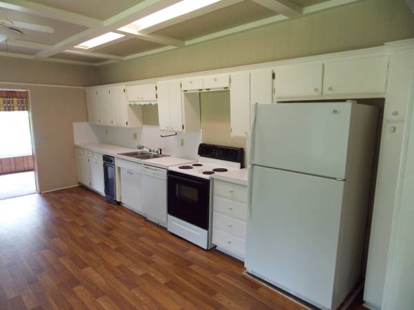 Bright and airy kitchen - 711 Majestic Lodge Rd