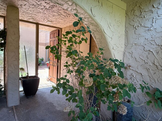Building Photo - LOS GATOS RINCONADA HILLS - Beautifully lo...