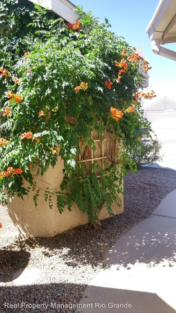 Building Photo - 3 br, 2 bath House - 872 Avenida Pastoral NW