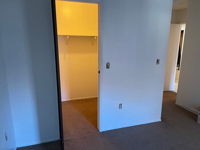 Building Photo - 294 Tradewinds Dr
