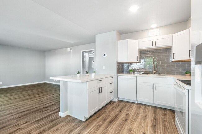 Building Photo - Move In Ready in Midtown/ Old Southwest