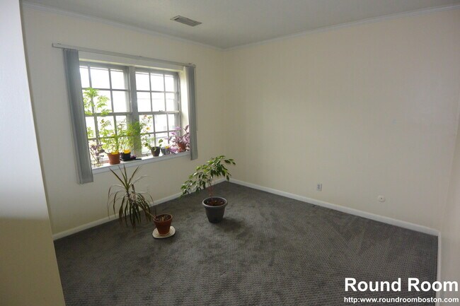 Foto del edificio - 178 Lake Shore Rd