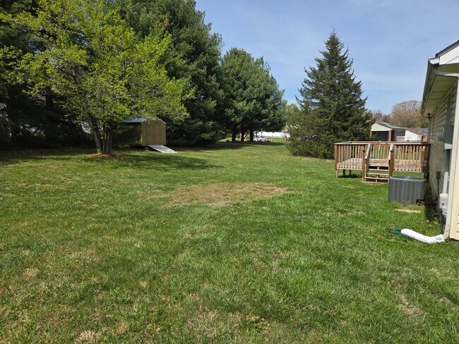 Photo - One Level Living House